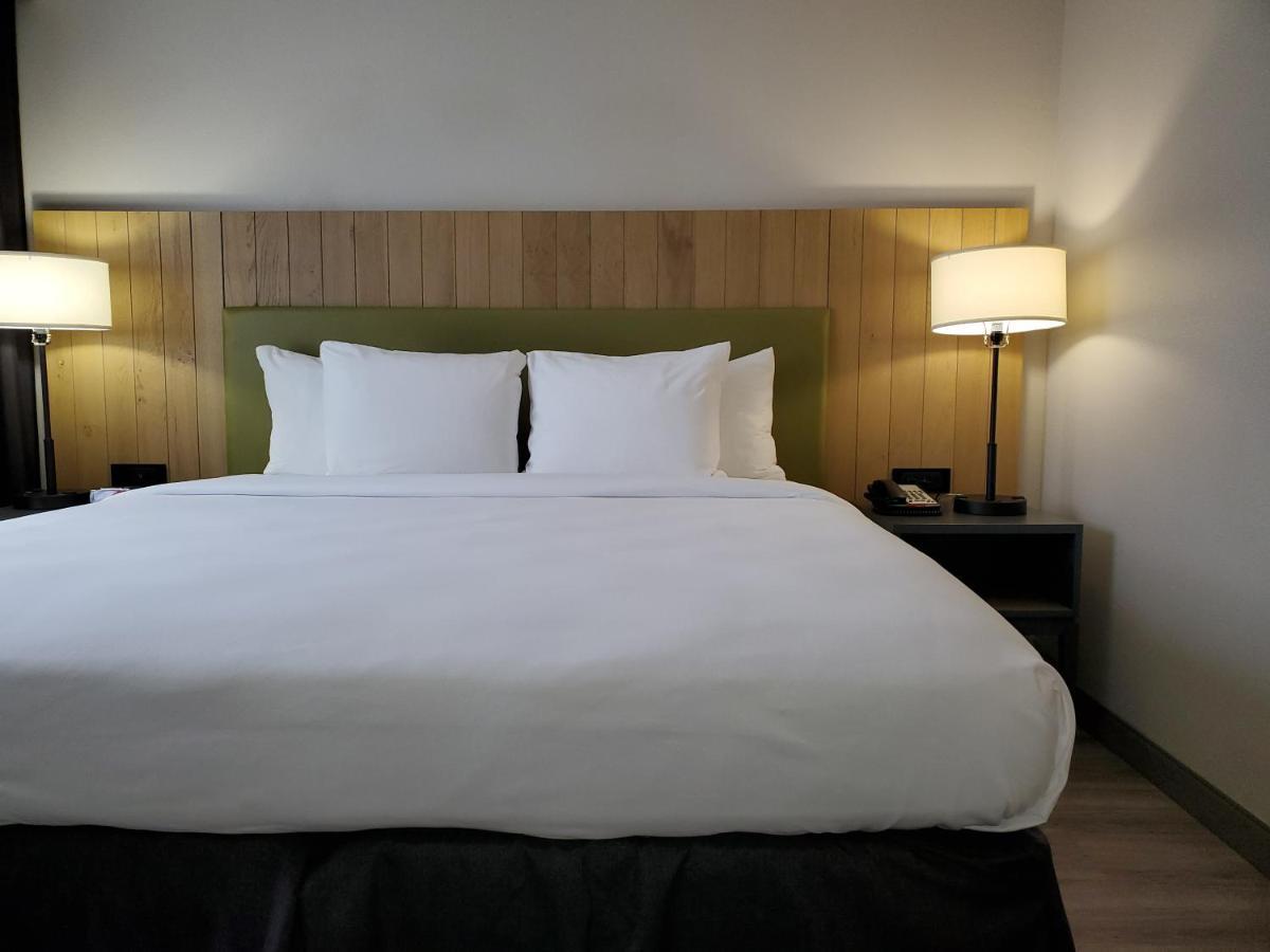 One-Bedroom King Suite - Non-Smoking