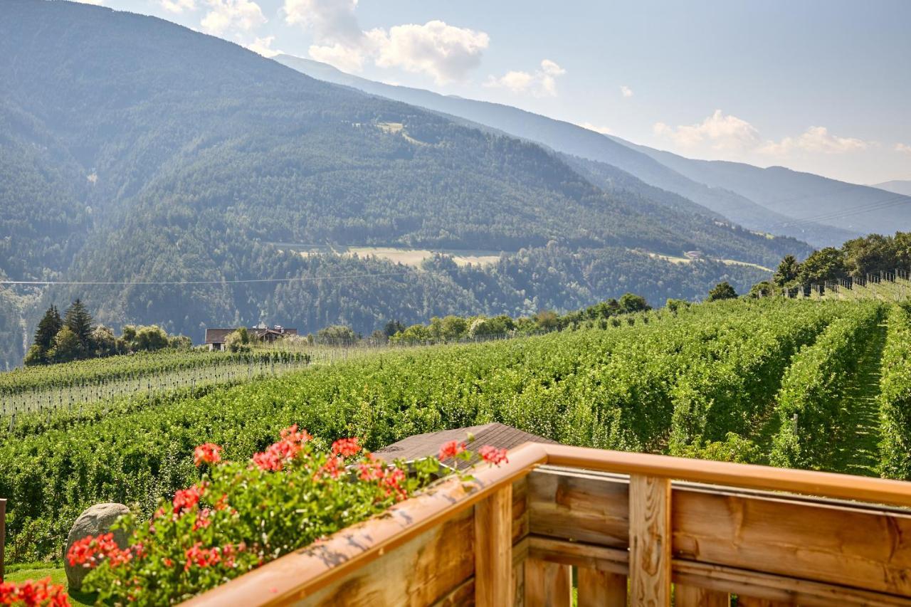 One-Bedroom Apartment with Mountain View,1143156301:JPEG