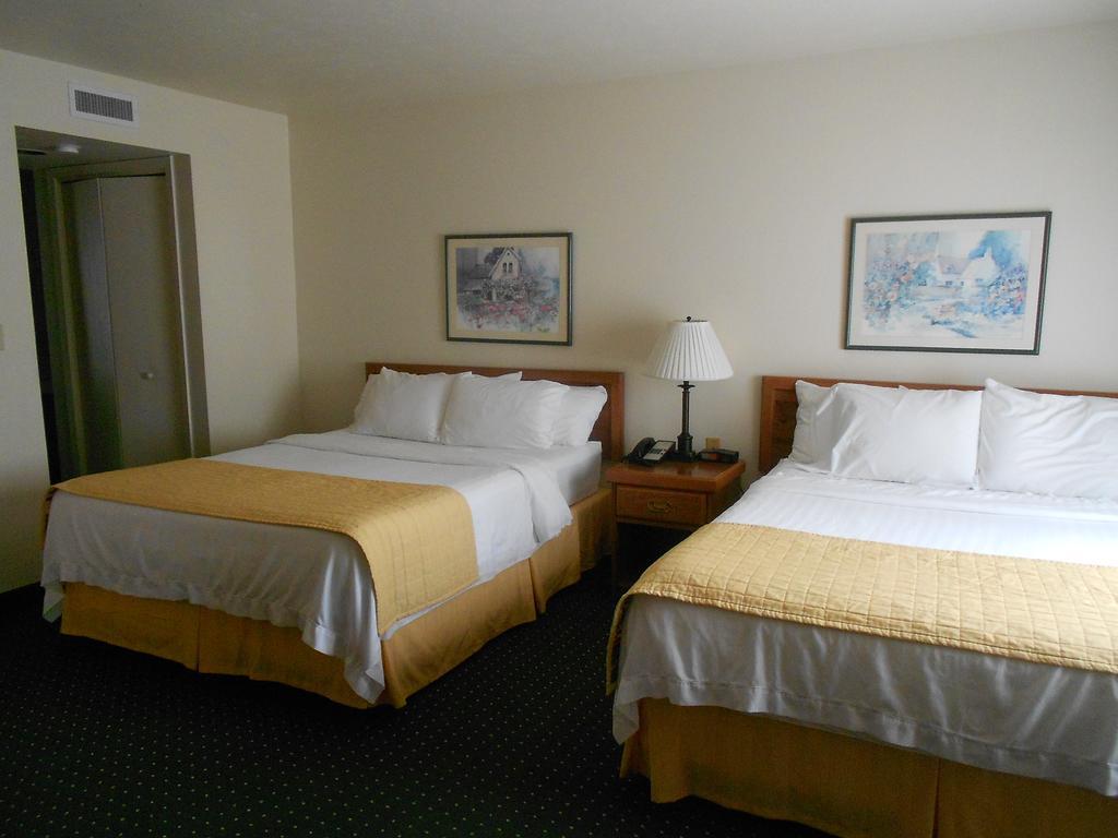 Executive Penthouse Suite Two Queen Beds Non Smoking