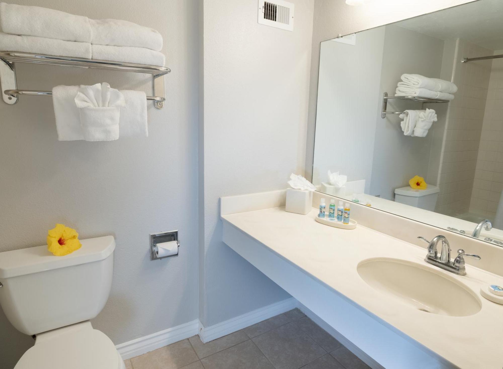 Chambre avec Vue sur Océan - Tarif Rénovation - Tour Lagon