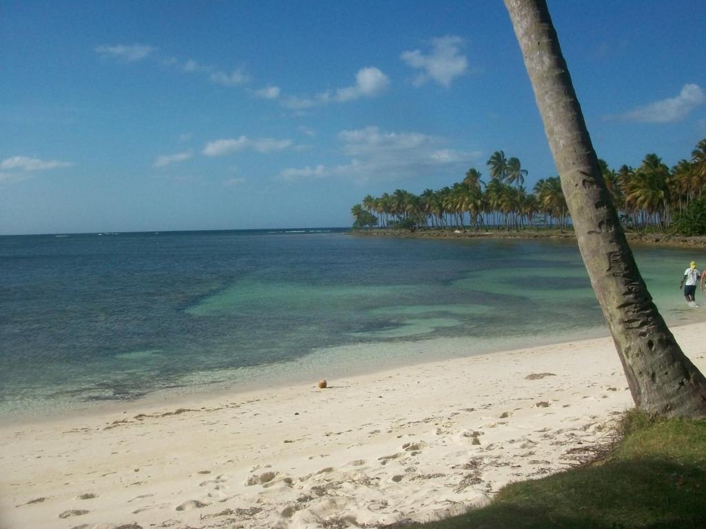 Cocunut Cottage