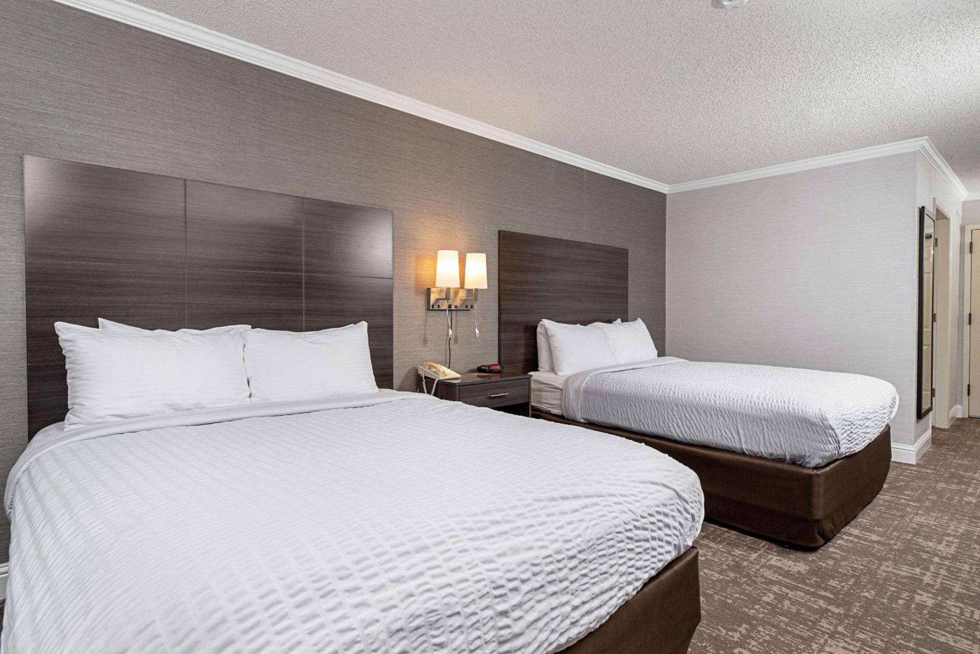Queen Room Two Queen Beds Non-Smoking