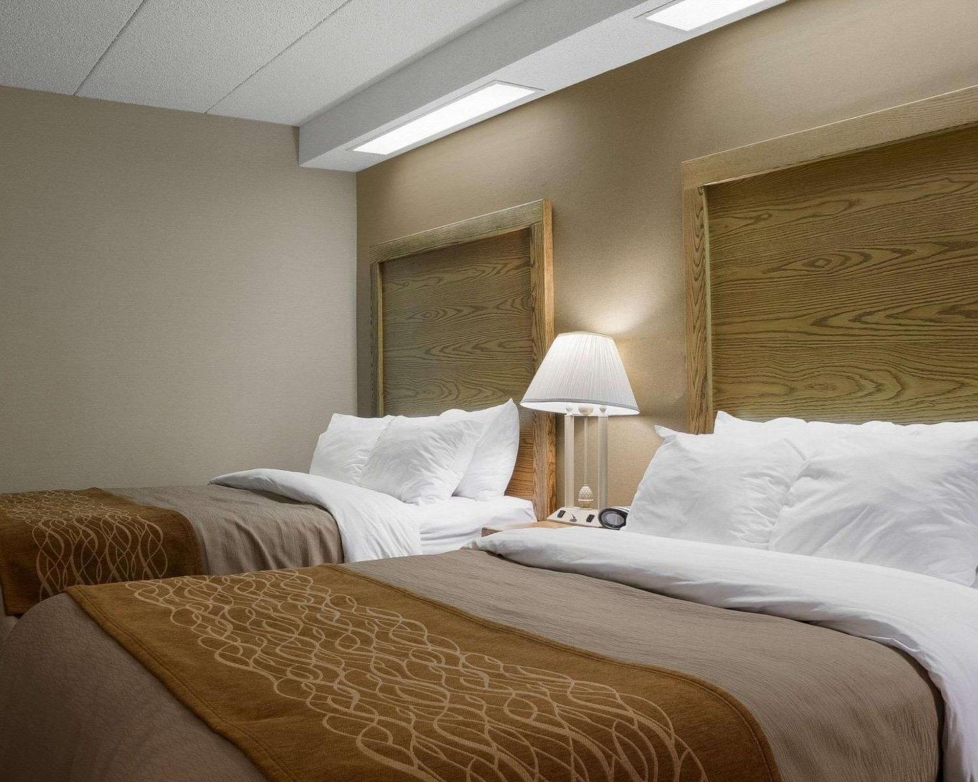Standard Double Room with Two Double Beds - Non Smoking,1280988226:JPEG