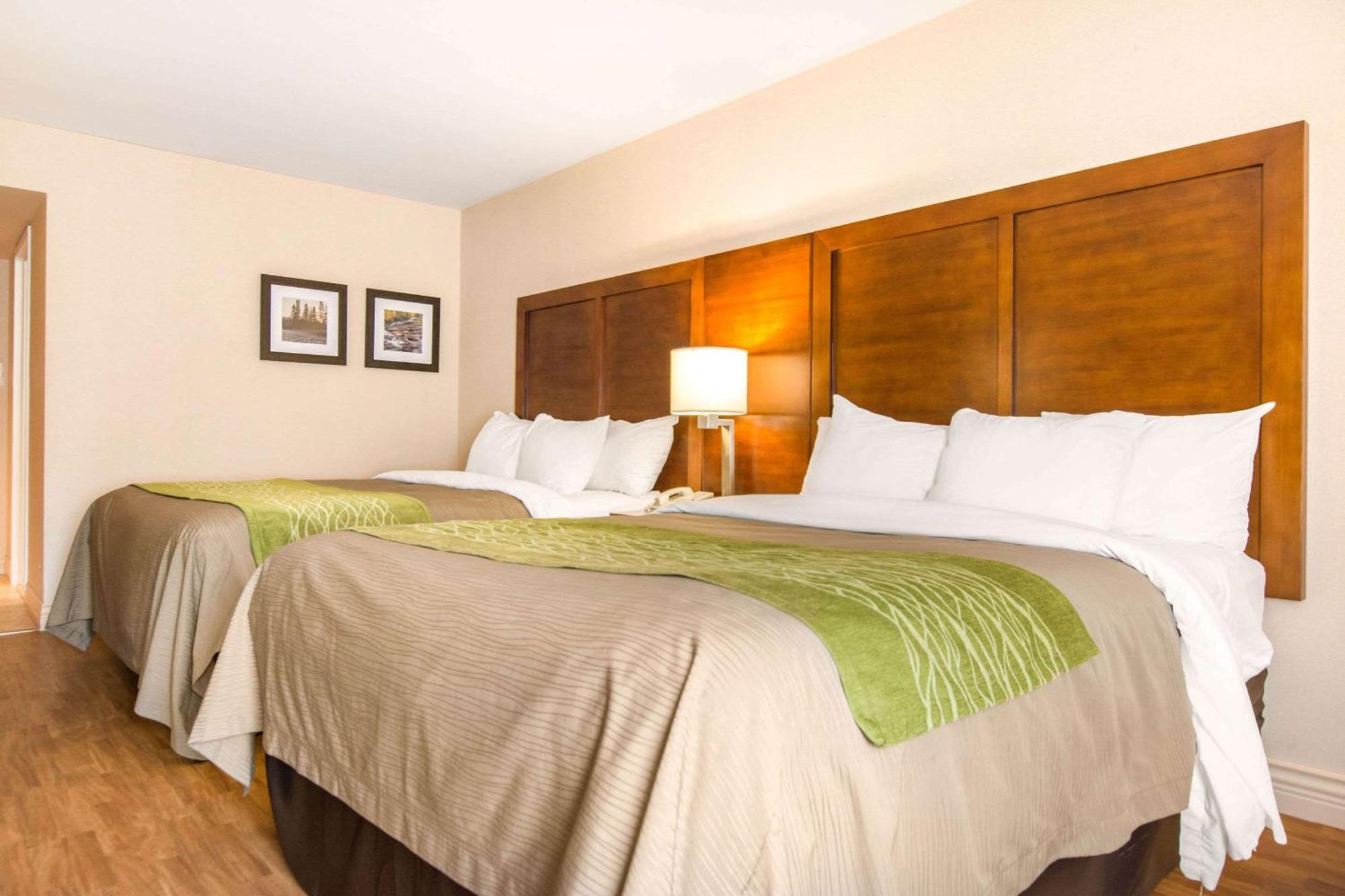 Queen Room with Two Queen Beds - Non-Smoking