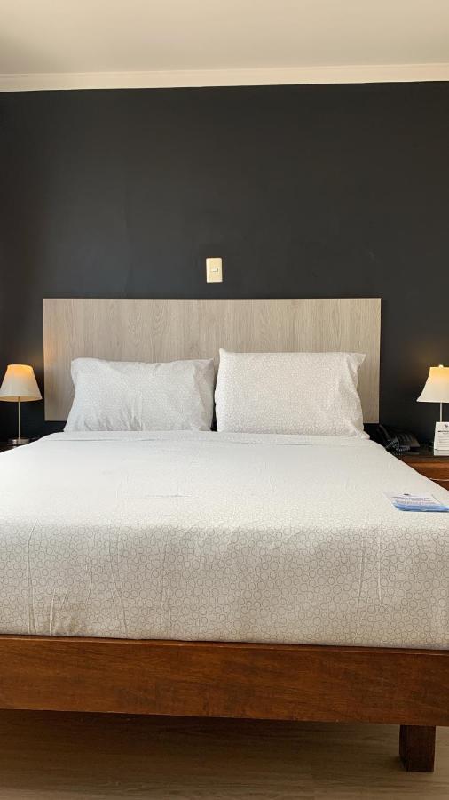 Executive Single Room,888681937:JPEG