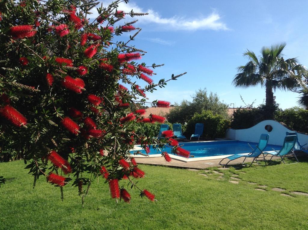 Double or Twin Room Garden View