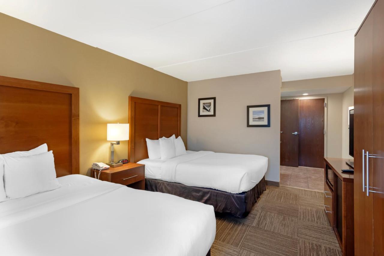 Queen Room with Two Queen Beds - Disability Access/Non-Smoking,1498529389:JPEG