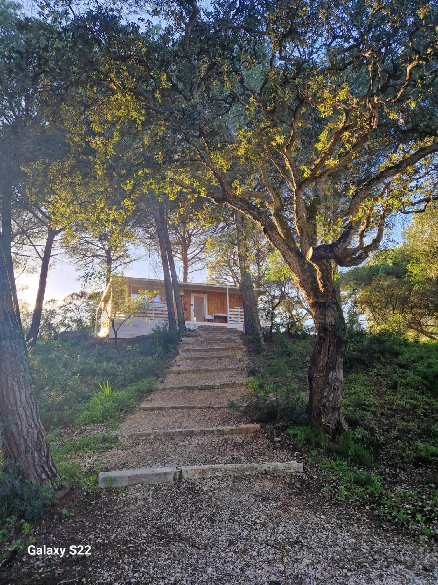 Bungalow Superior