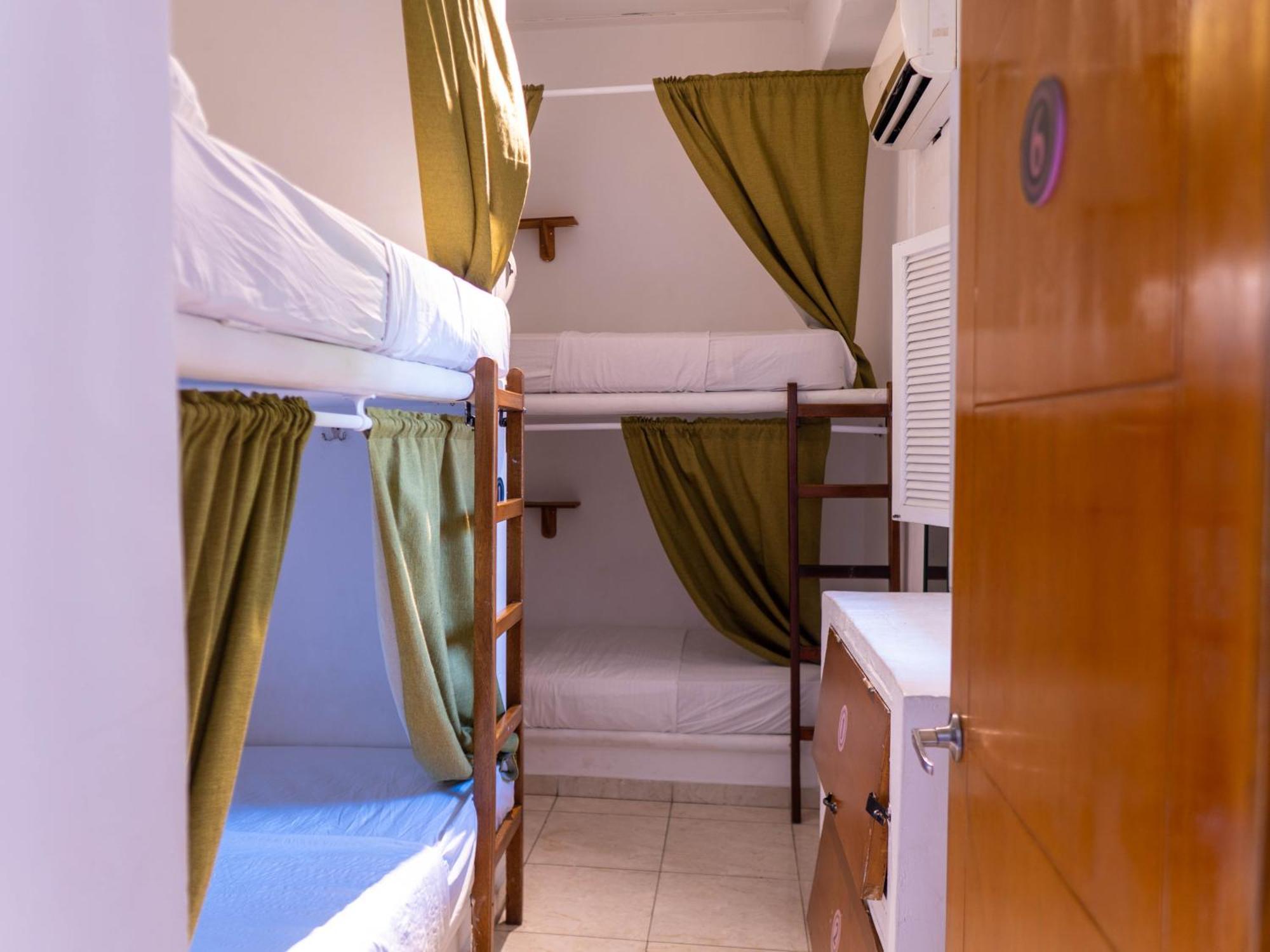 Bed in 4-Bed Mixed Dormitory Room