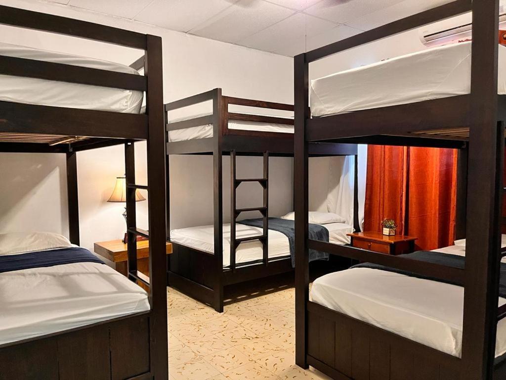 Bed 6-Bed Mixed Dormitory Room,1549877815:JPEG