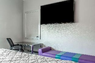 Quarto King Standard