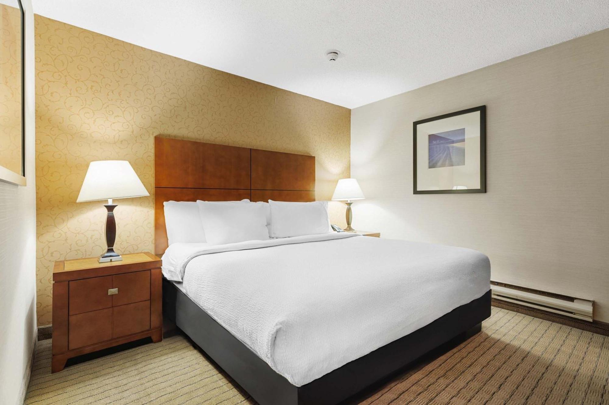 Standard Suite, 1 King Bed, Sofa Bed