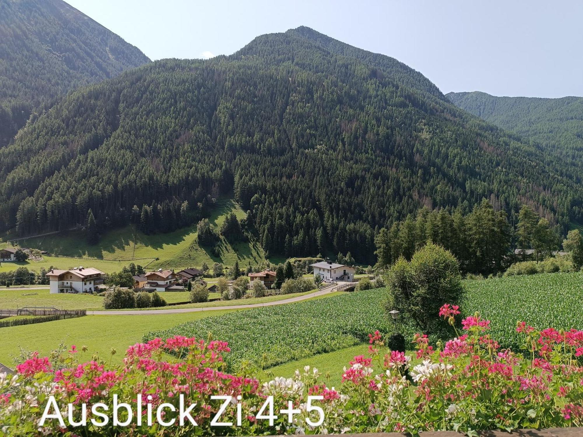 Double Room with Mountain View,1613623782:JPEG
