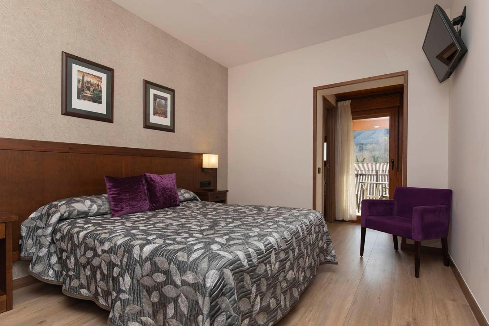 Superior Double or Twin Room Mountain View
