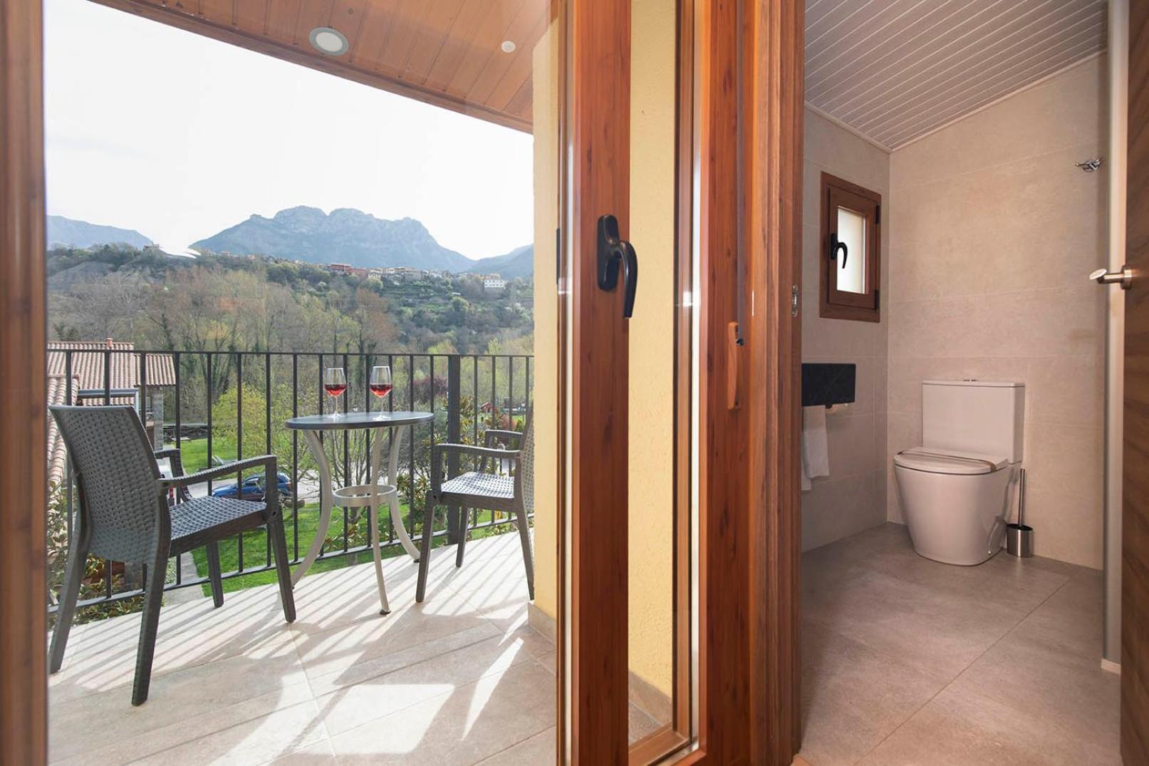 Superior Double or Twin Room Mountain View