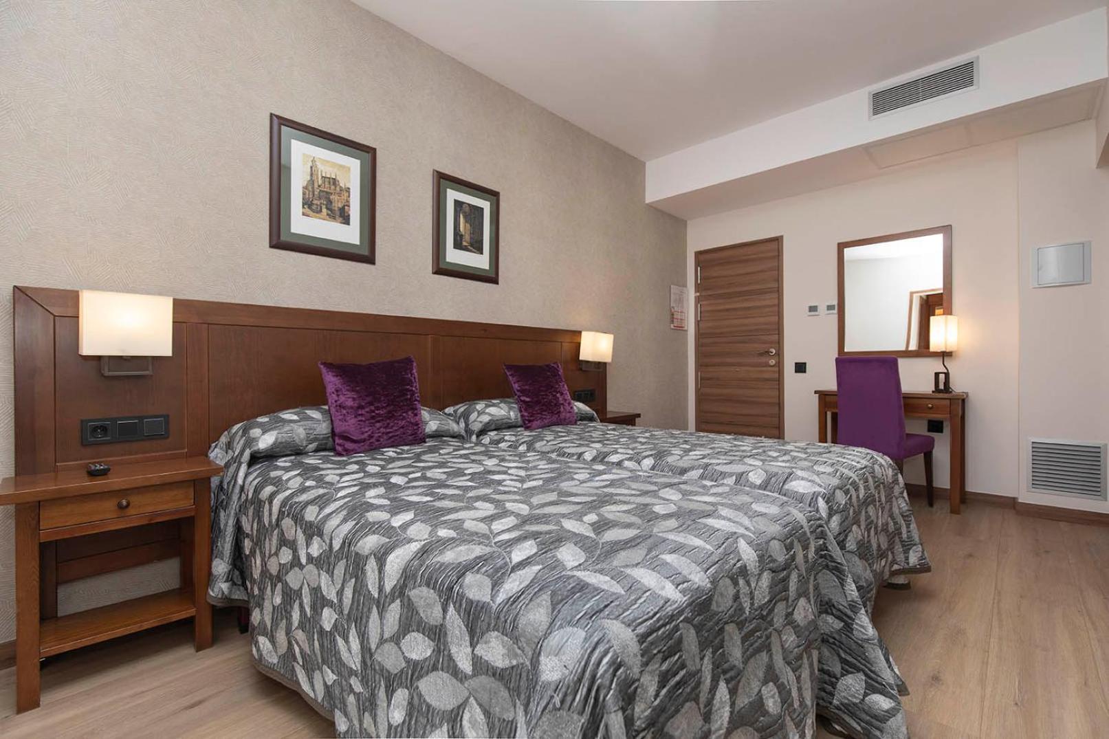 Superior Double or Twin Room Mountain View