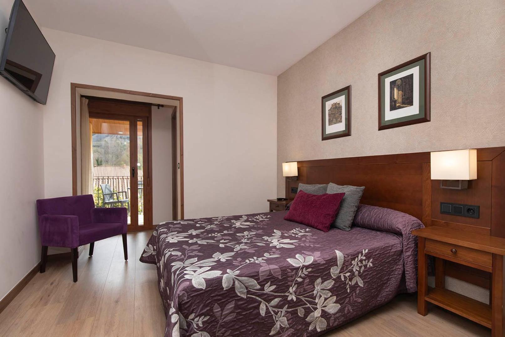 Superior Double or Twin Room Mountain View
