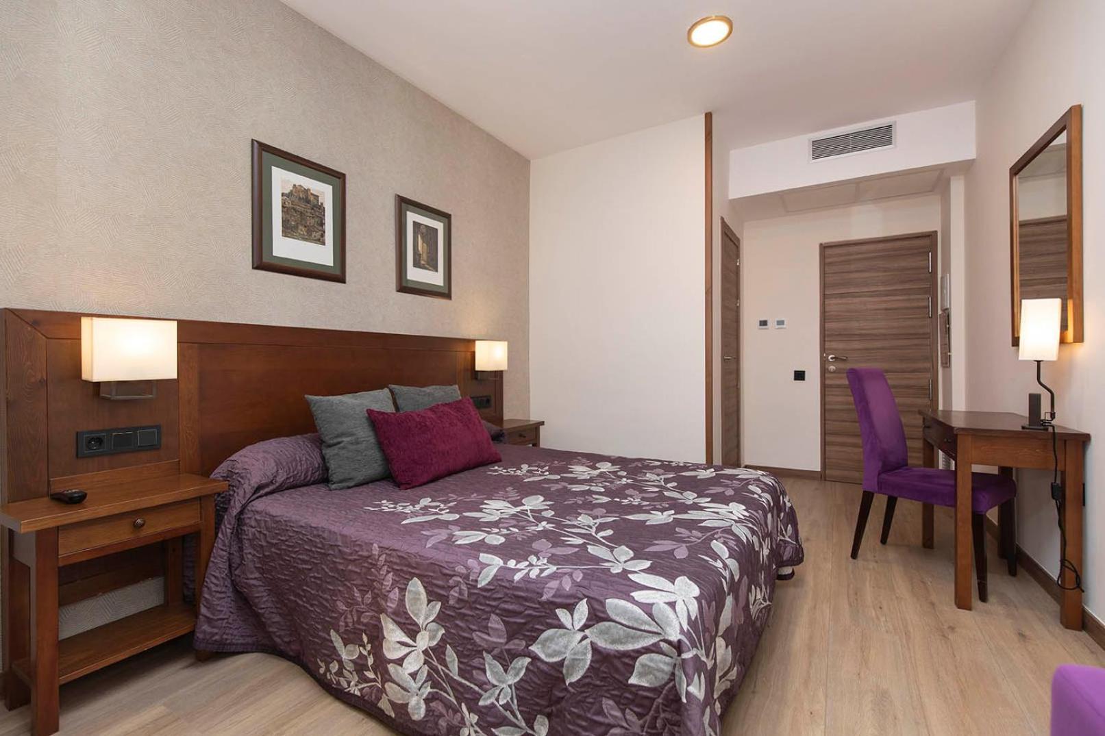 Superior Double or Twin Room Mountain View