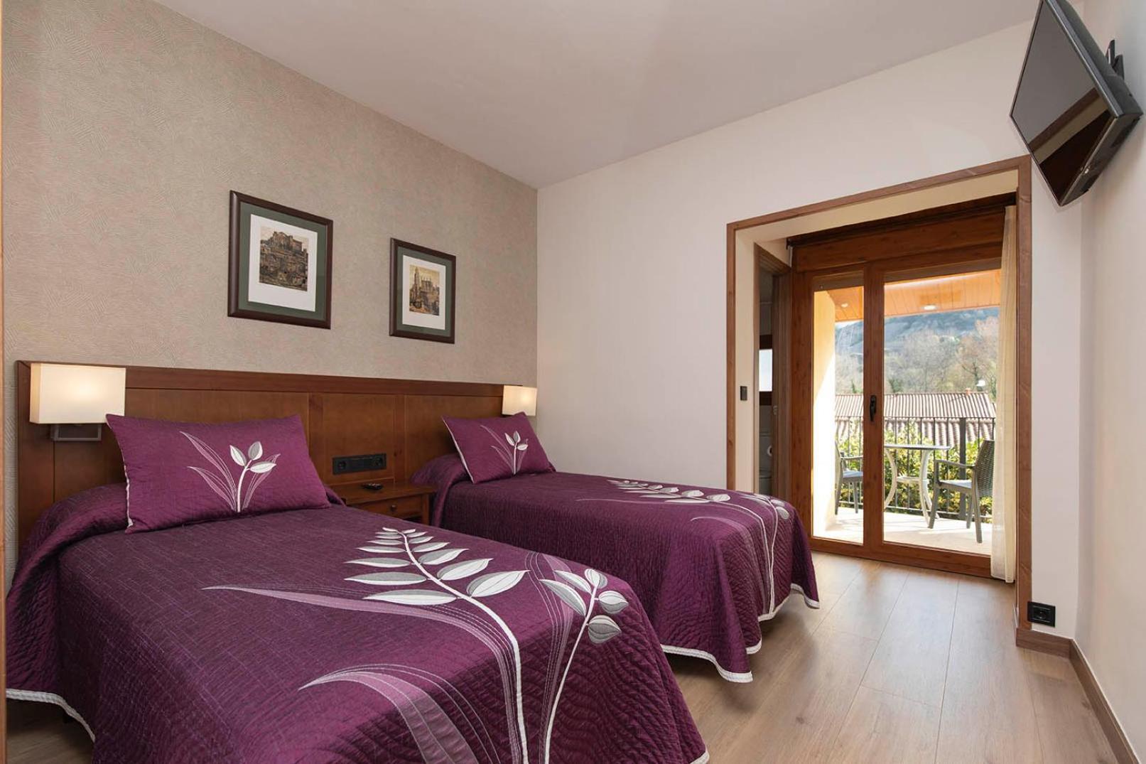 Superior Double or Twin Room Mountain View