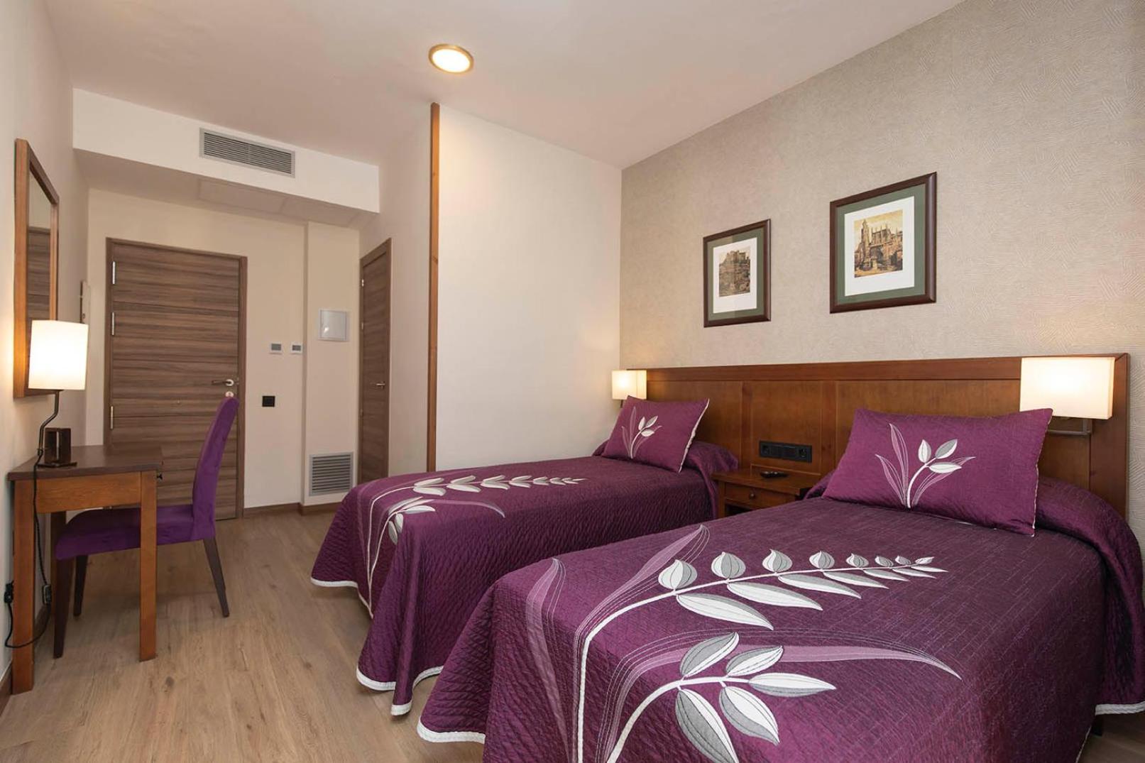Superior Double or Twin Room Mountain View