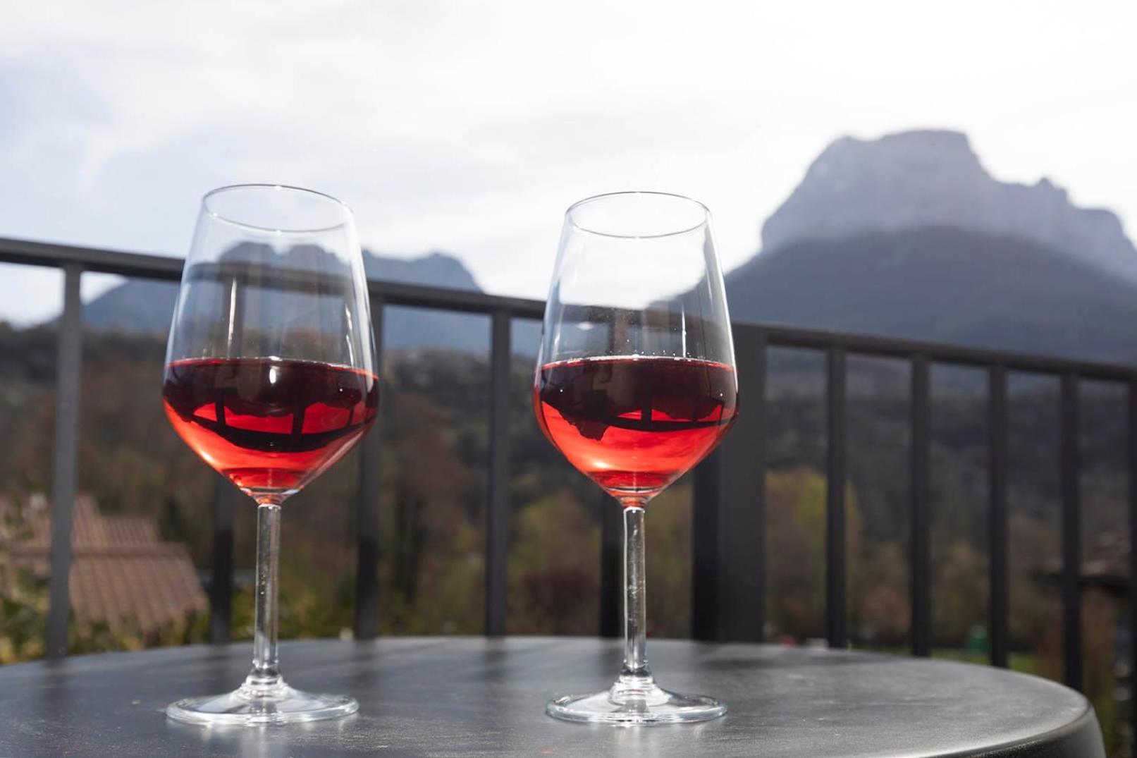 Superior Double or Twin Room Mountain View