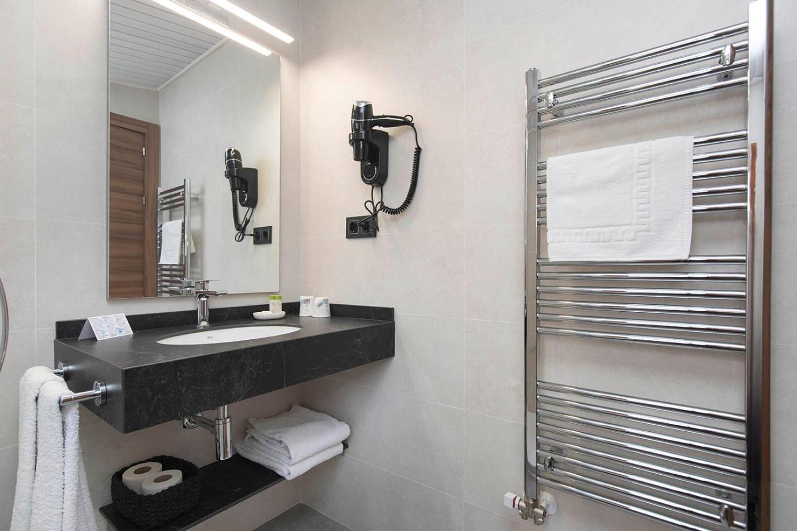 Superior Double or Twin Room Mountain View
