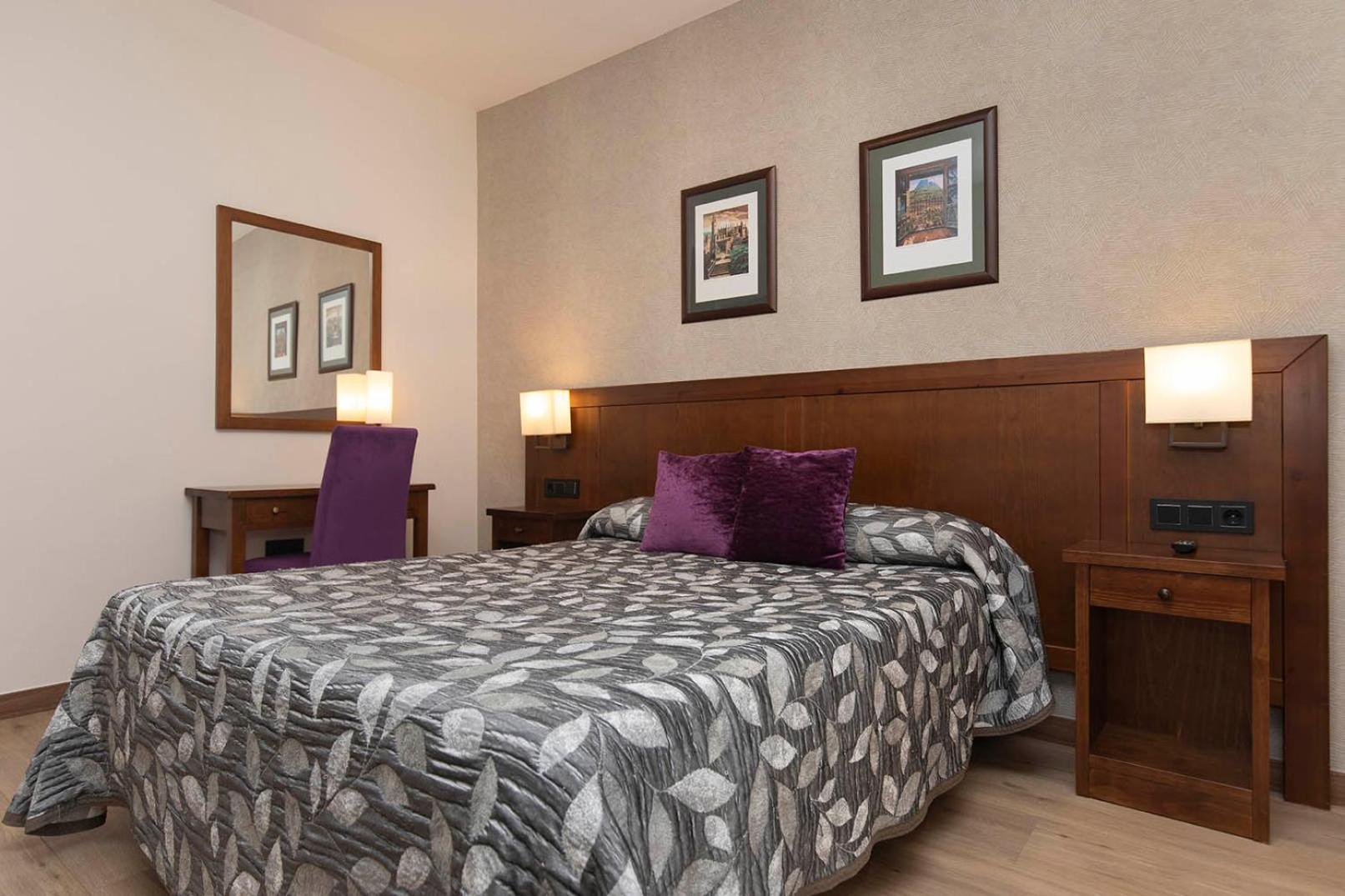 Superior Double or Twin Room Mountain View