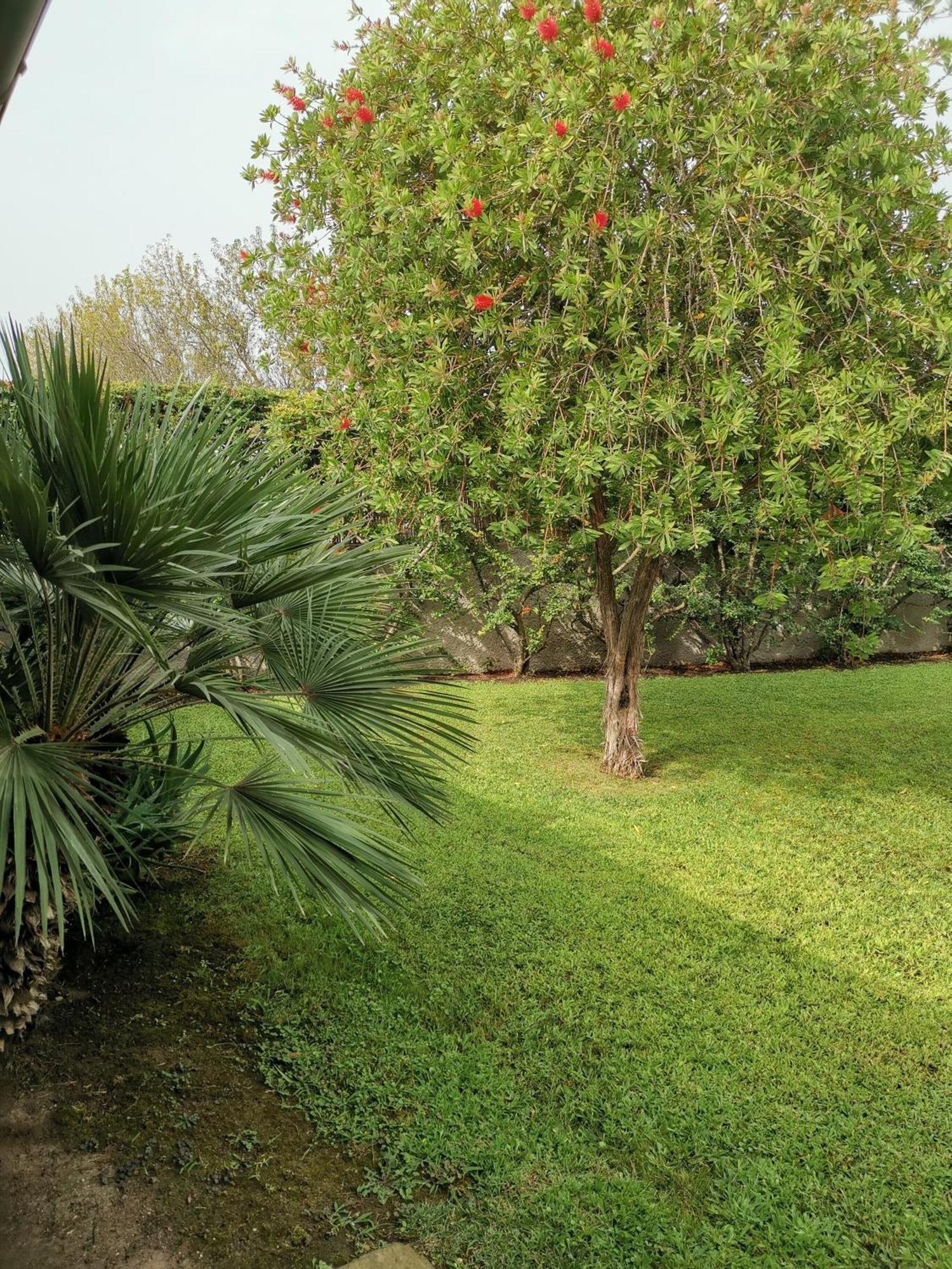 One-Bedroom Apartment with Garden View,1690596735:JPEG