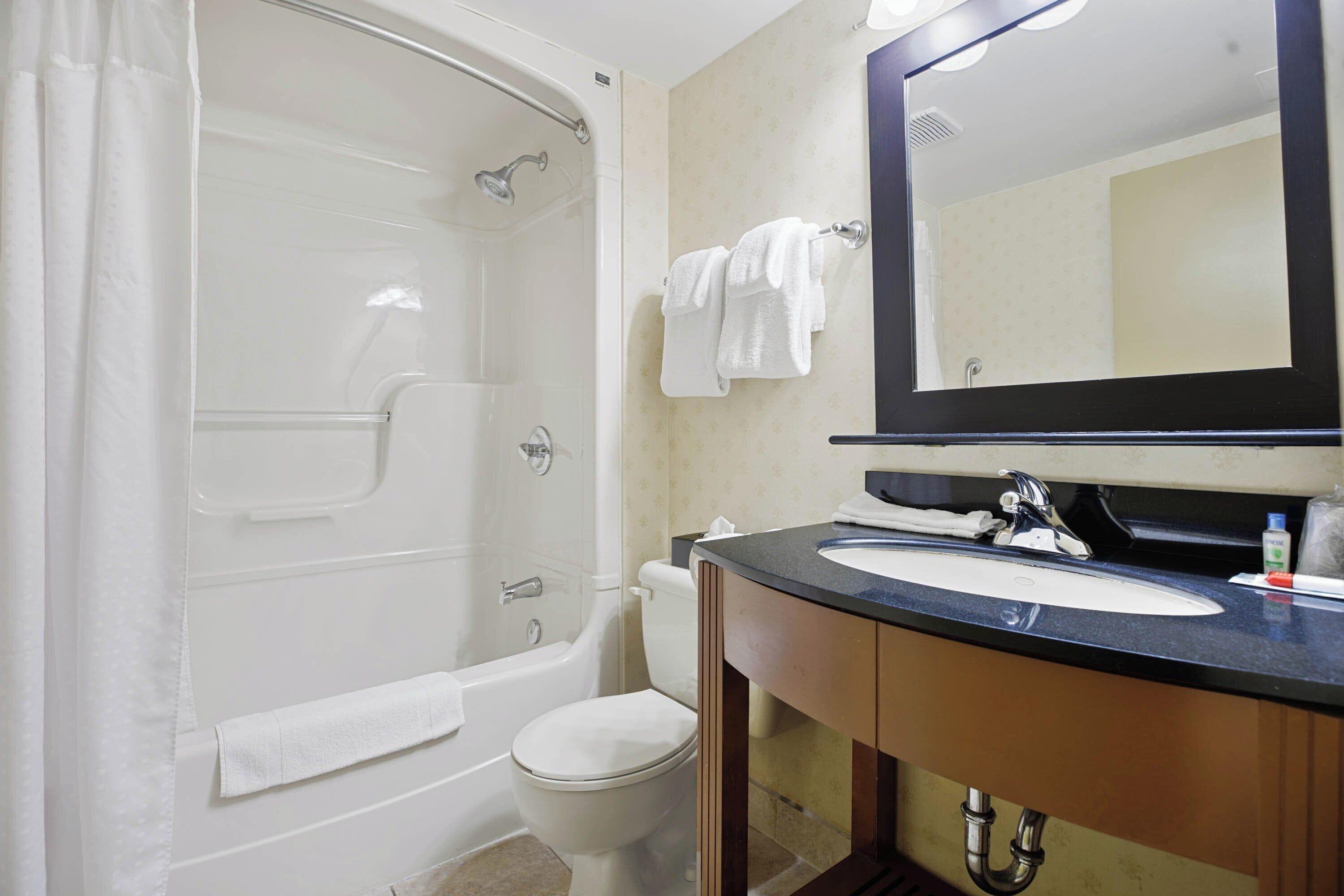 Standard Suite, 1 King Bed, Sofa Bed, Kitchenette