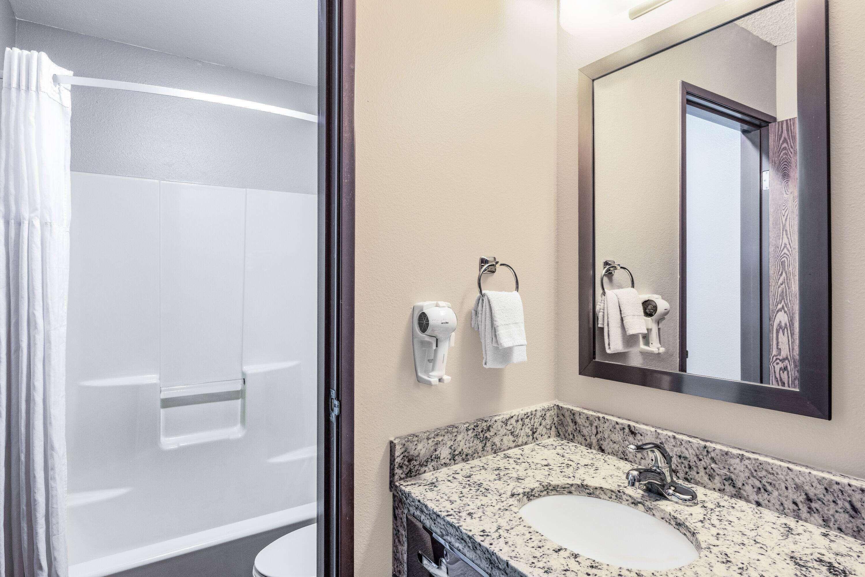 Queen Room Pet Friendly or Non-Smoking