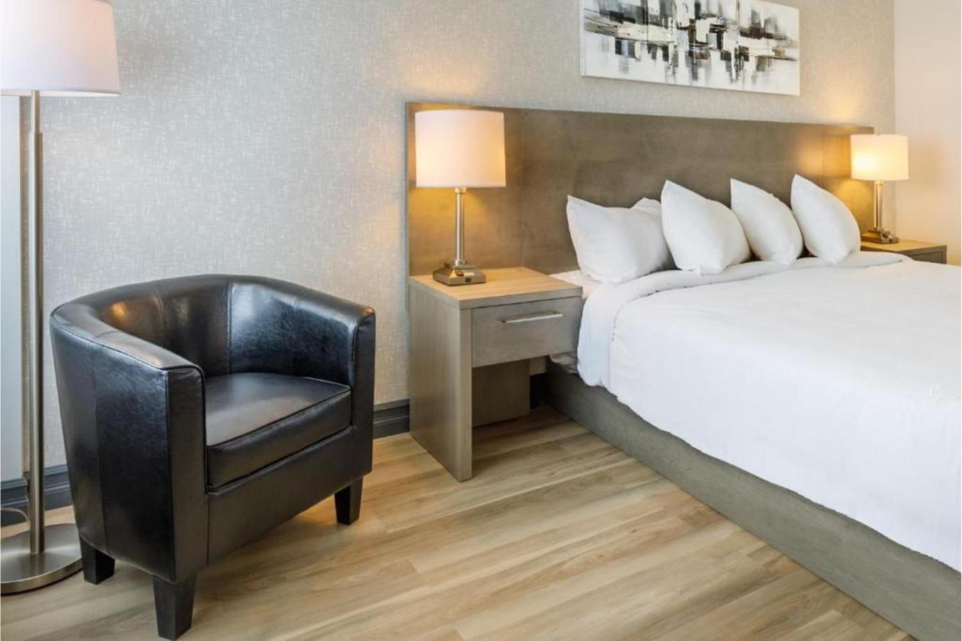 Accessible Room, 1 King Bed