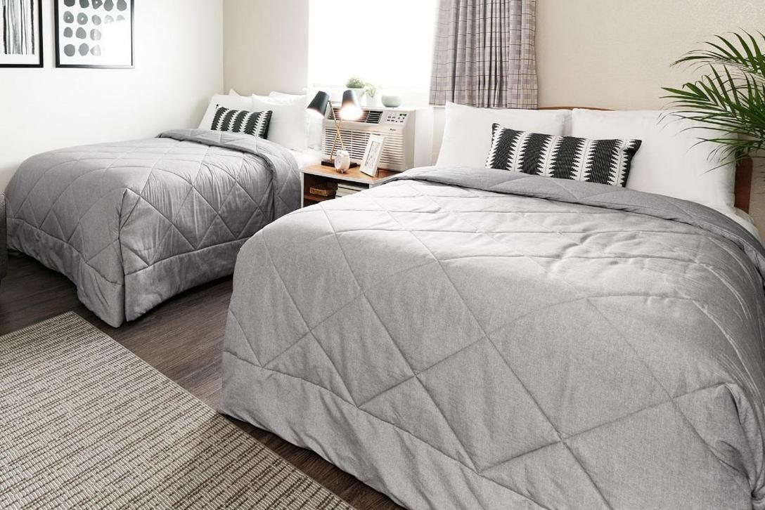 Premium Fully Renovated 2 Full Bed Studio w or Kitchen