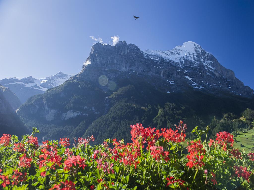 Habitación Doble Pequeña con vistas al Eiger
