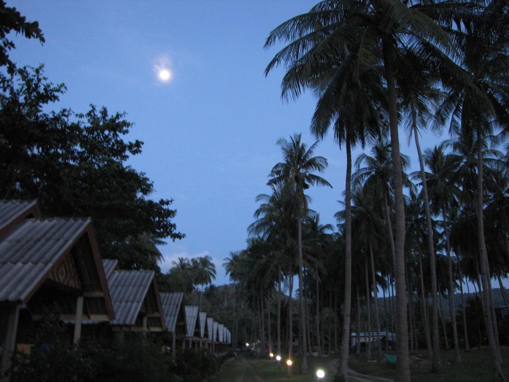 Bungalow Garden View