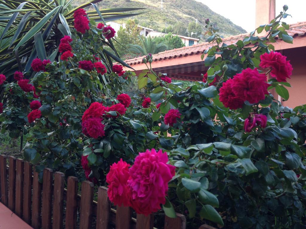 Superior Double Room Terrace