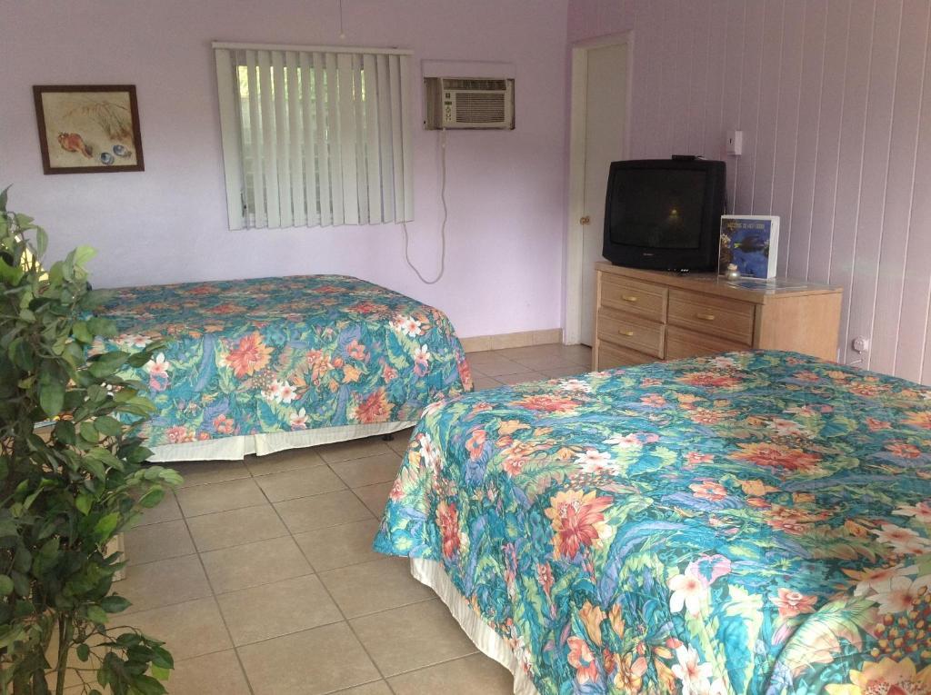 Queen Room Two Queen Beds