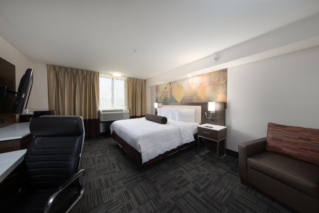 Standard King Room with Pool View