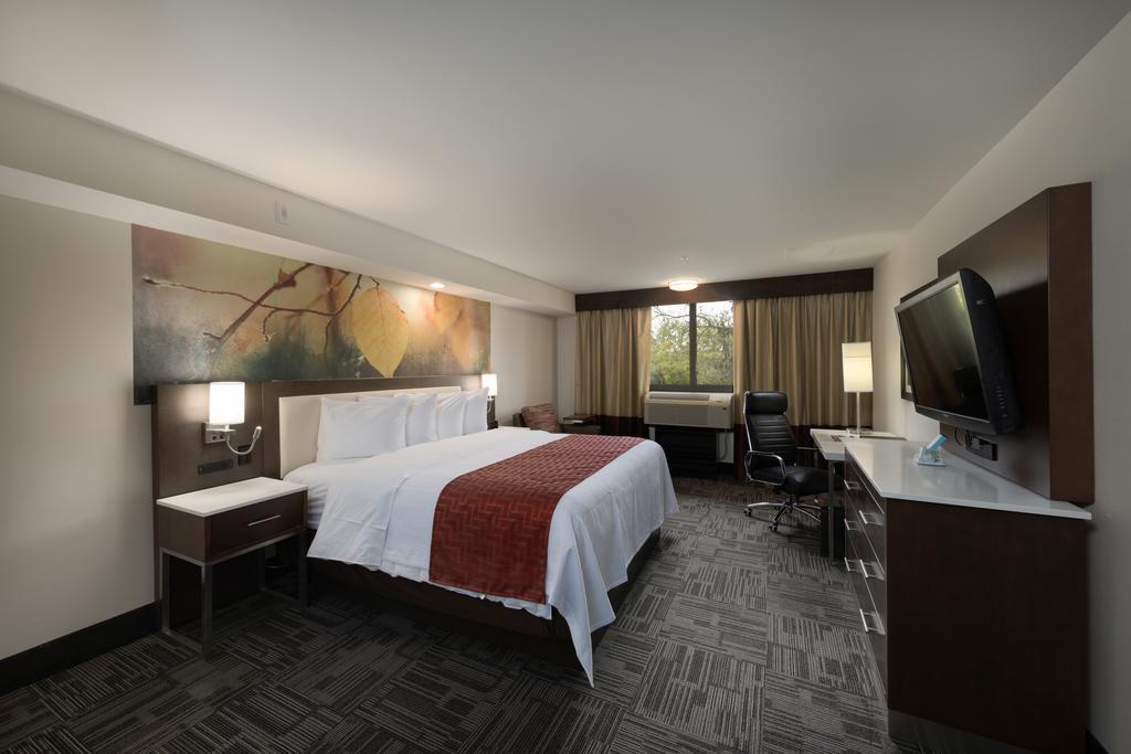 Standard King Room with Sofa Bed