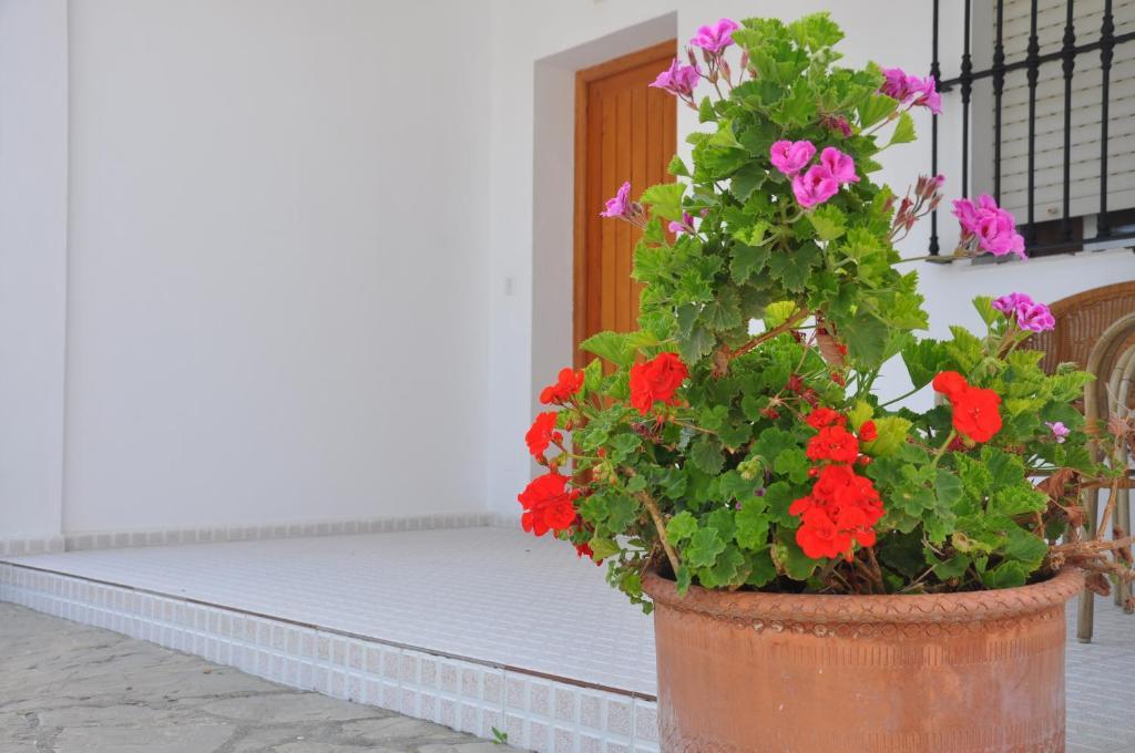 Quarto Twin com Terraço
