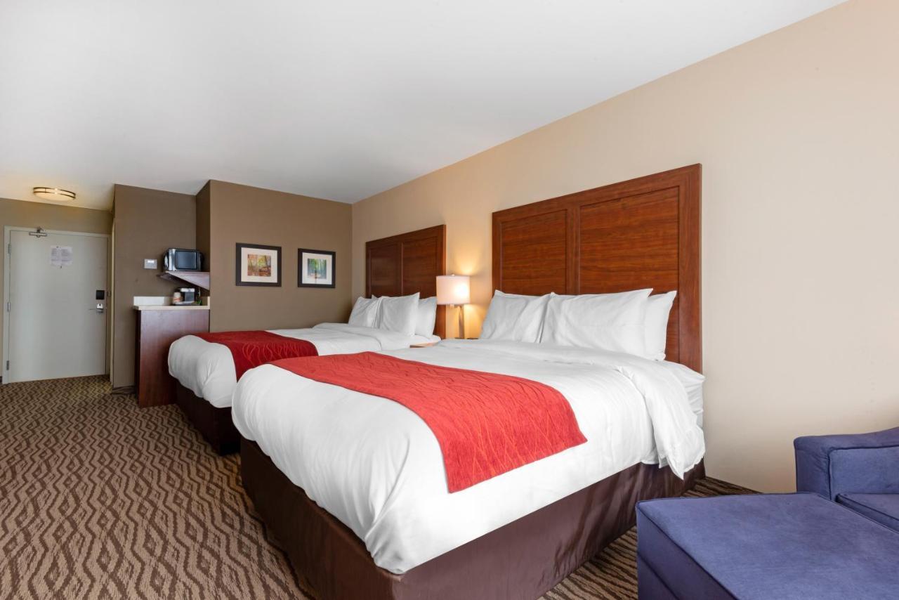 Queen Room Two Queen Beds Non-Smoking