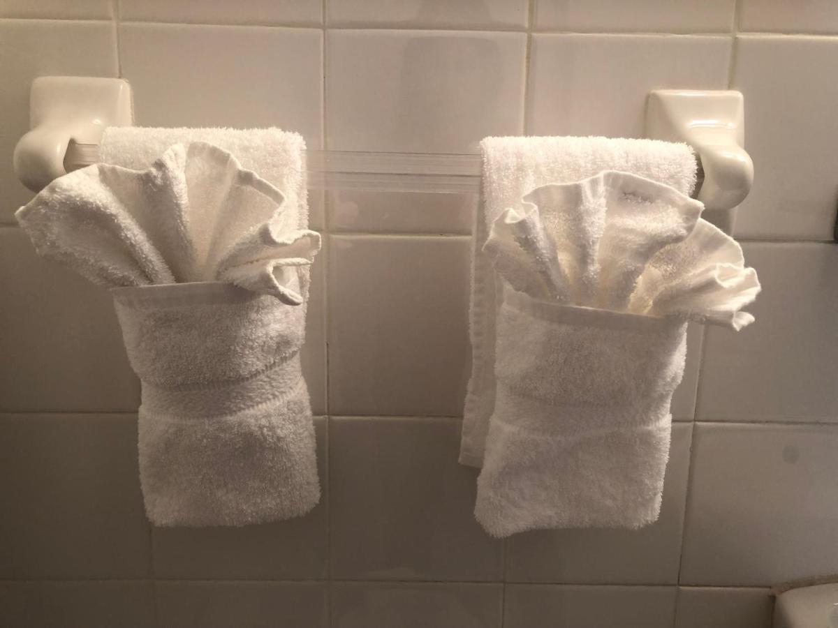 Standard Accessible Hotel Room,1107357738:JPEG
