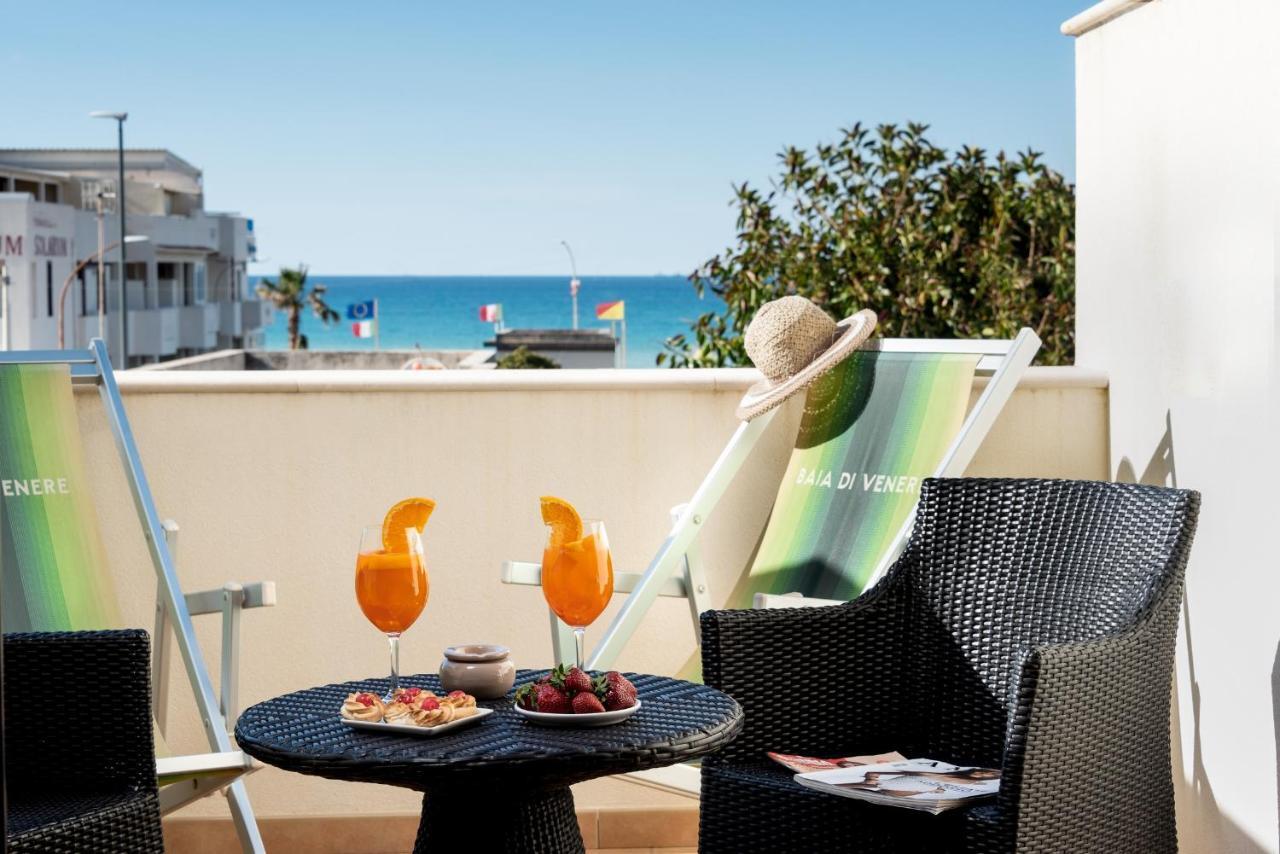 Superior Room Terrace