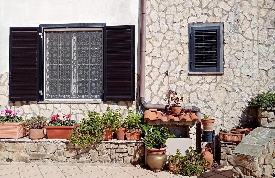 La vecchia fattoria-1