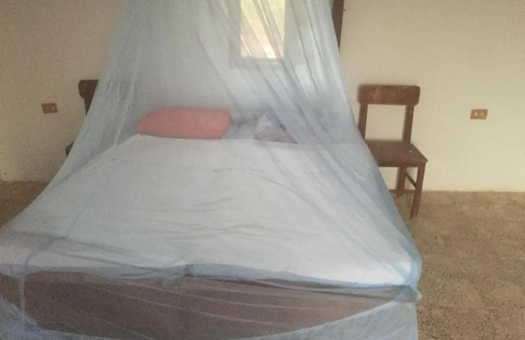 Deep South Eco-Lodge-1