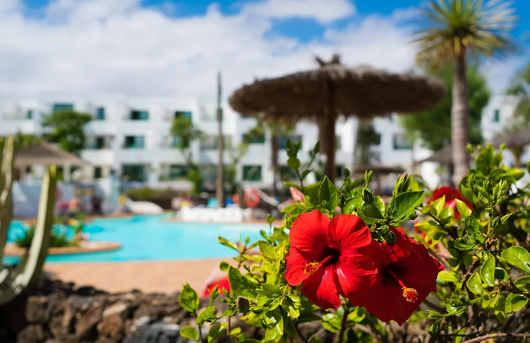 Galeon Playa By Seasense-1