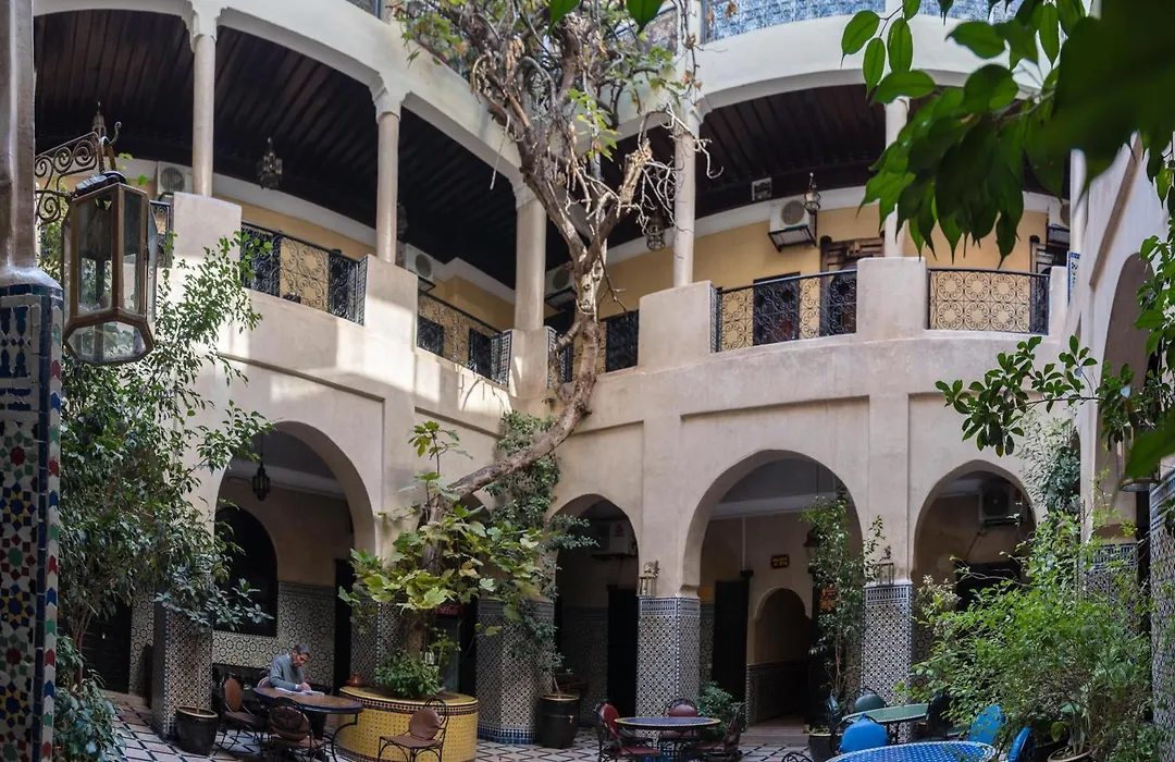 Riad Omar-1