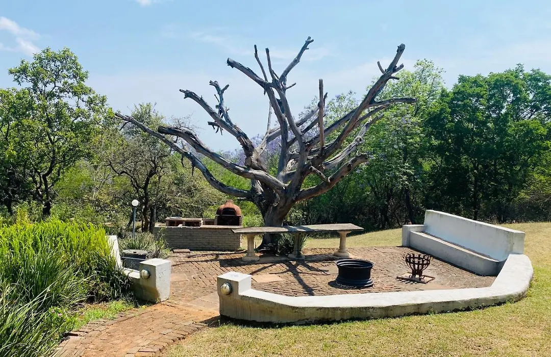 Wild Fig Guesthouse-1