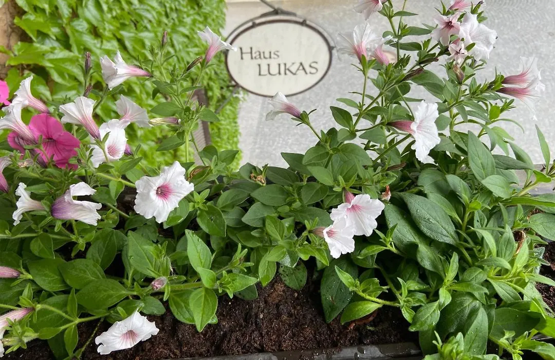 Haus Lukas-1