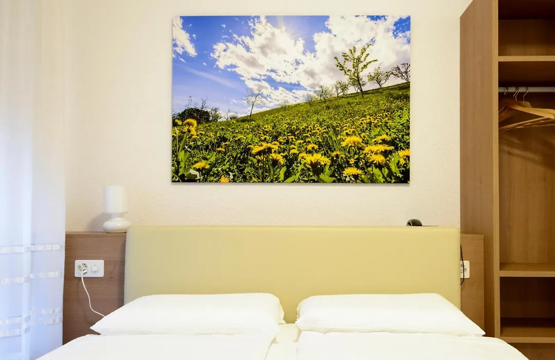 Hotel Ceresio-1