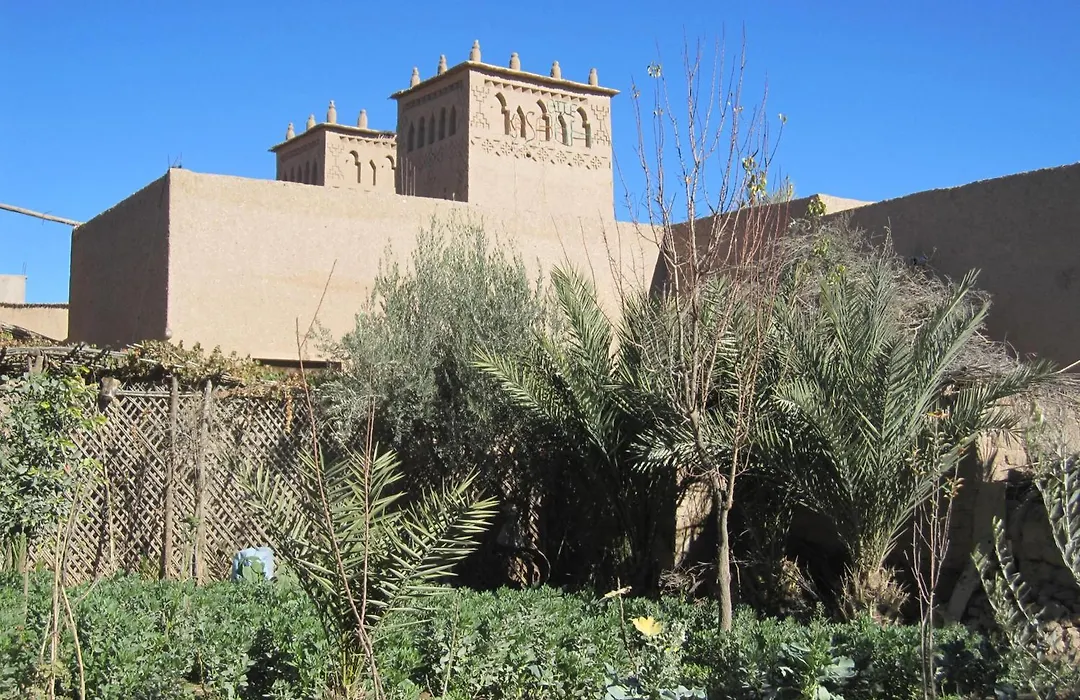 Gite Kasbah La Palmeraie-1